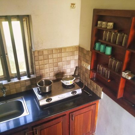 מונאר Traditional Villa מראה חיצוני תמונה